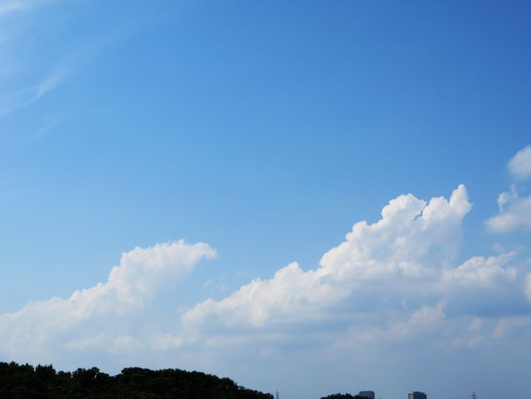 夏空に