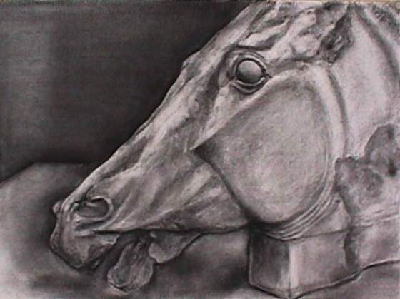 馬頭の石膏素描