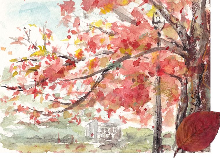 桜広場の紅葉
